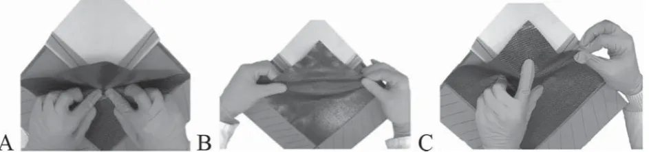 Figure 17Examples of a ‘Mold interaction shearing’, (B) ‘Double-tension shearing’ and (C) ‘tension-secured shearing’ inuse during Task 15 (not to scale)