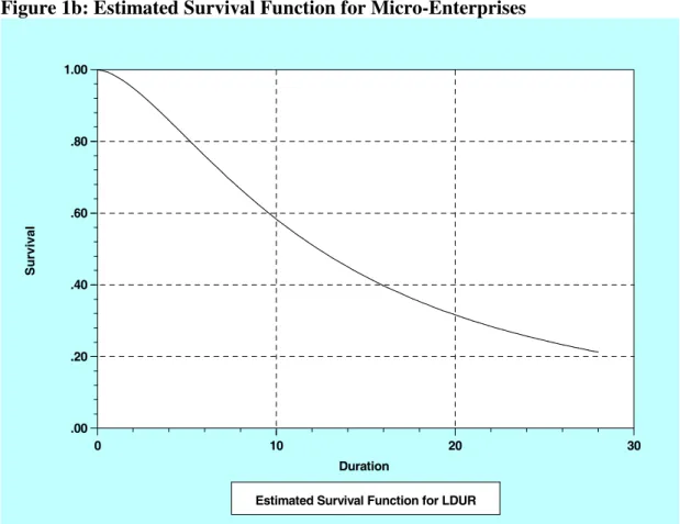 Figure 1b: Estimated Survival Function for Micro-Enterprises