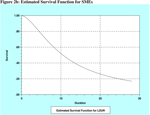 Figure 2b: Estimated Survival Function for SMEs