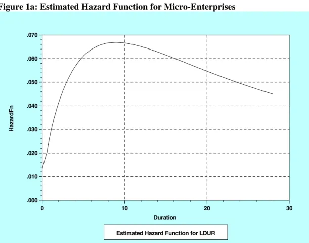Figure 1a: Estimated Hazard Function for Micro-Enterprises