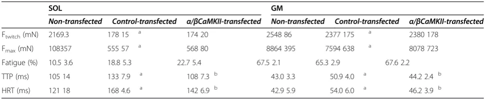 Figure 6 Phosphorylation of overexpressed CaMKII after isometric exercise in situ. A) Example of immunodetected CaMKII (top panel) andpThr287-CaMKII (bottom) in transfected GM and SOL muscle after 2-minutes of isometric exercise in situ