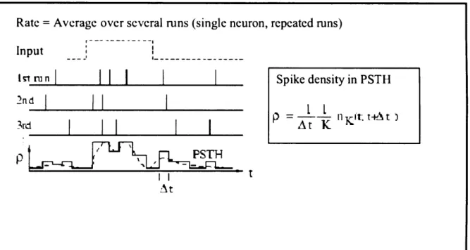 Figure  2.10:  Definition  o f the  spike  density in the Per-Stimulus-Time Histogram (PSTH)  as an  average  over several runs o f the experiment.