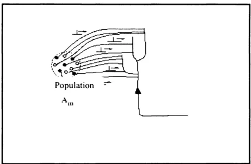 Figure  2.11(a):  A  postsynaptic  neuron  receives  spike  input  from  the  population  m  with  activity A m.