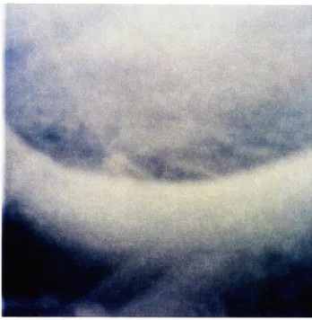 Fig. 3.pinhole"shades" Untitled #7, 30x30 type C,photograph.