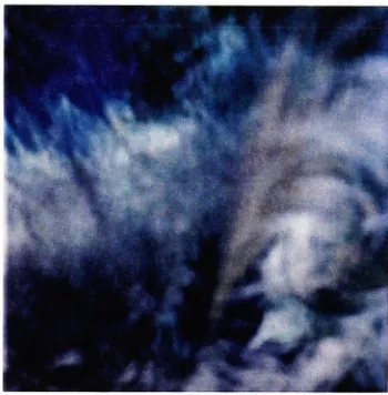 Fig. 6."shades" Untitled #10, 30x30 typeC pinholephotograph.