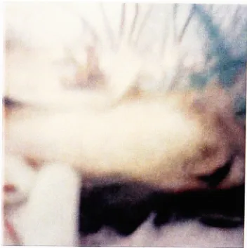 Fig. 7. "shades