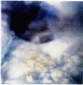 Fig. 10.pinhole."shades" Untitled #9, 30x30 type C.photograph.