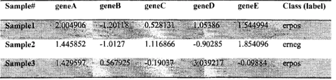 Table 1: This table shows an example of gene expression data. There are three samples,  each of which is described by 5 genes