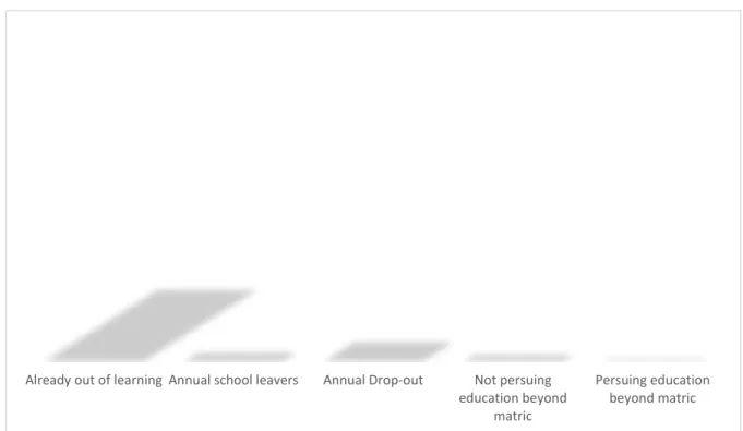 Figure 3.1  Schooling supply of students to Higher Education 