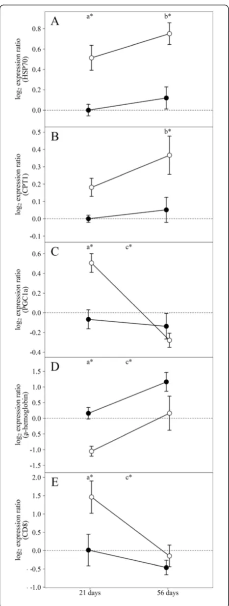Figure 1 Cardiac expression of selected genes in fish rearedantigenelevated (19°C, open circles) temperature for 21 and 56 days