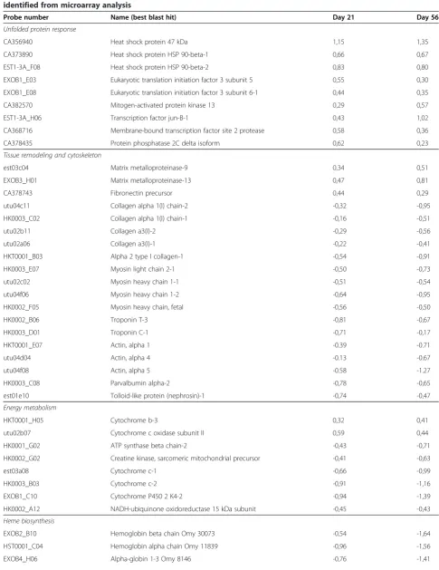 Table 2 Functional categories and genes regulated in Atlantic salmon reared at high temperature for 21 and 56 daysidentified from microarray analysis