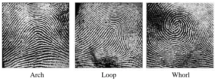 Figure 1. Minutiae examples
