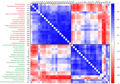 Figure 9. Correlation clustering of enriched energy metabolism and immune response pathways in TCMR