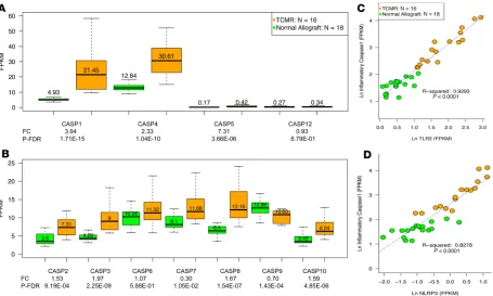 Figure 2. Intragraft abundance of mRNAs encoding caspases in human kidney allograft biopsies