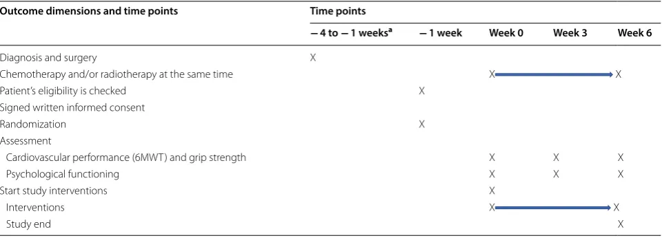 Table 1 Flow chart of the study: time points and the assessed dimensions at the time points