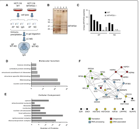 Fig. 2 Defining the MTHFD2 interactome.and Cellular Component respectively.and medium confidence links (> 0.400)