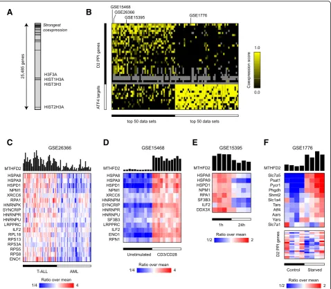 Fig. 3 MTHFD2-interacting proteins are coexpressed with MTHFD2 in response to stimuli.(D2PPI) proteins ordered by overall coexpression with MTHFD2 across 8067 gene expression data sets (see Methods).score for the D2PPI and ATF4 gene sets, across the 50 dat