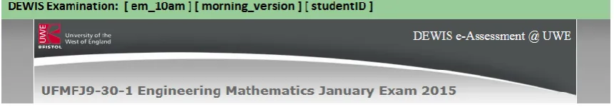 Figure 4 The top horizontal bar was a visual aid in order for invigilators to check that students were only accessing the DEWIS test page