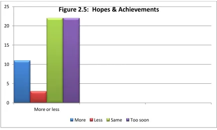 Figure 2.5:  Hopes & Achievements   