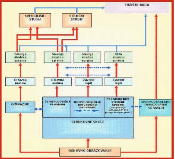 Figure 2.  From primary education to labour market 15