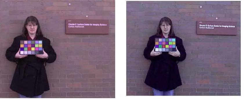 Figure 6: subjective images (DCS460 and DC120)