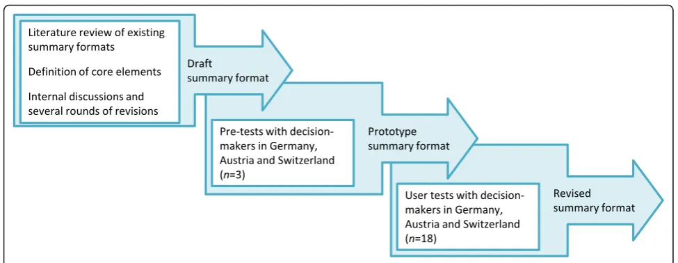 Fig. 1 Process for the development and testing of the summary format