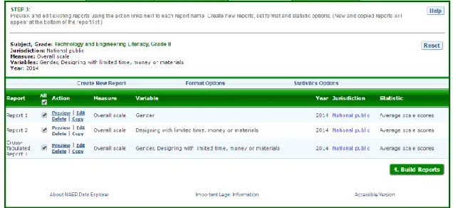 Figure 5. Edit Reports. The edit option will be used to set format and statistic options
