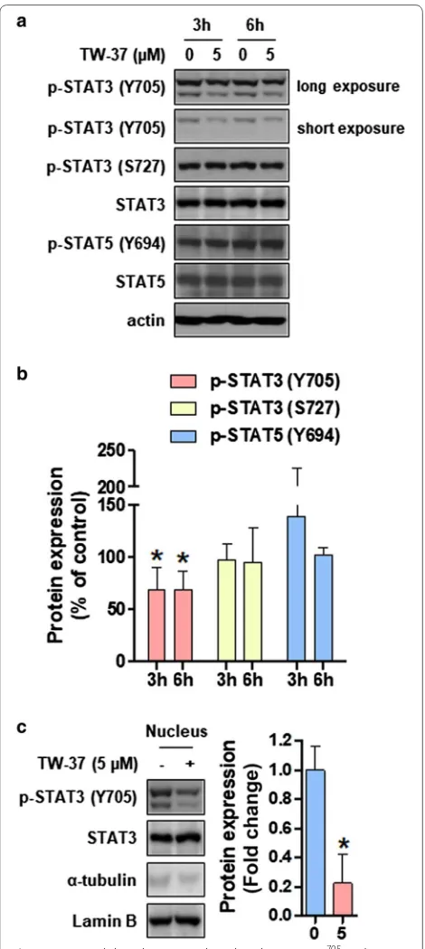 Fig. 4 TW‑37 inhibits the STAT3 phosphorylation at  Tyr705 and nuclear translocation. HSC‑3 cell lines were treated with DMSO or 5‑μM of TW‑37 for 3 or 6 h