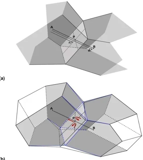 Figure II - 3. Neighbouring grains. (a) Traditional Voronoi Tessellation. Poisson-Voronoi the plane interface.The three possible operations introduced by the modified method, i.e