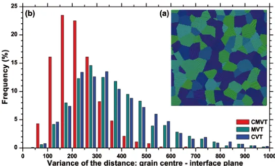 Figure II - 20. (a) Plane section of CMVT 1000 L 0.10 I 100000 polycrystalline microstructure