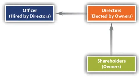 Figure 2.1 Corporate Legal Structures 
