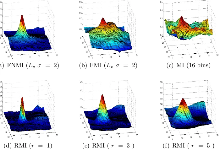 Figure 3: Registration similarity measure surface plots across the translation space. Themaximum point on each surface plot shows the correct translation for registration.