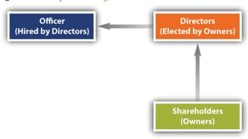 Figure 2.1 Corporate Legal Structure 