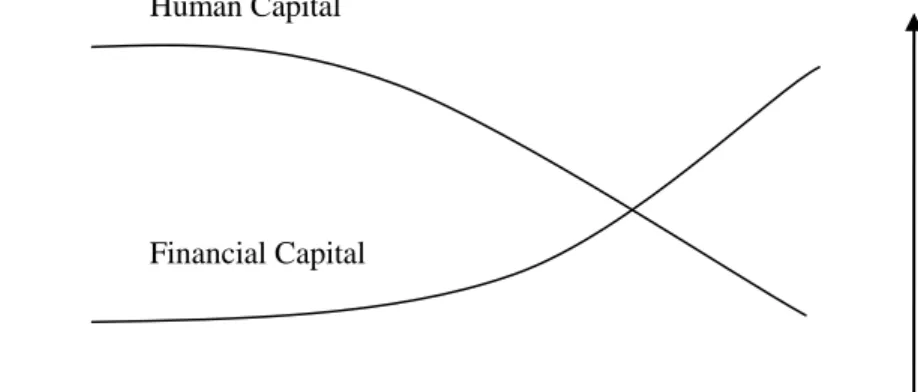 Figure 2. Human Capital and Financial Capital over Age 