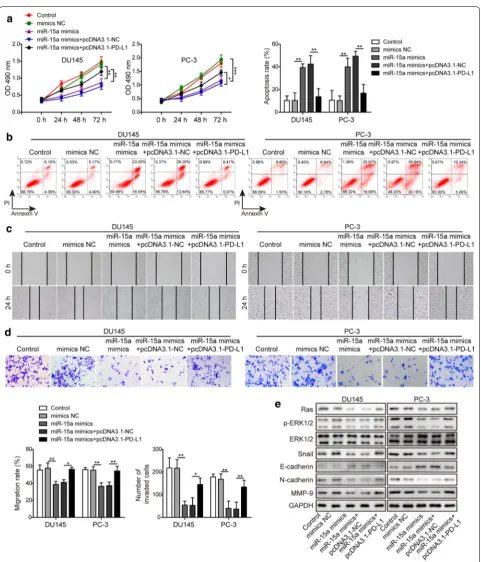 Fig. 4 MiR‑15a regulated multiple malignant phenotypes of PC cells via directly targeting PD‑L1