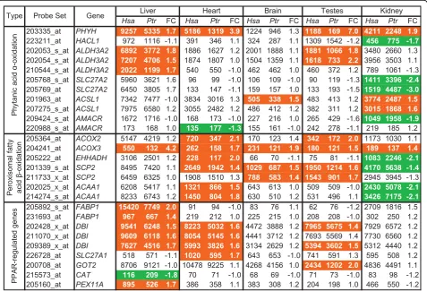 Figure 4 Differential expression of genes related to peroxisomal lipid metabolismdirection with a Studentexpression profiles of human and chimpanzee tissues [51] using the masking strategy stated in the text