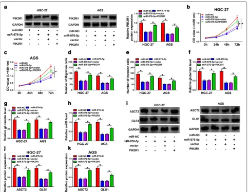 Fig. 6 Overexpression of miR-876-5p inhibited proliferation, migration, invasion and glutaminolysis of gastric cancer cells by affecting PIK3R1