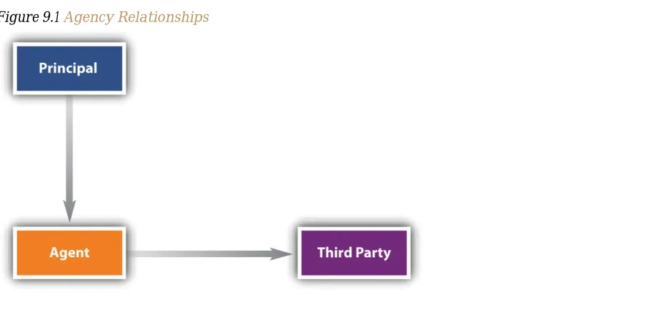 Figure 9.1 Agency Relationships 