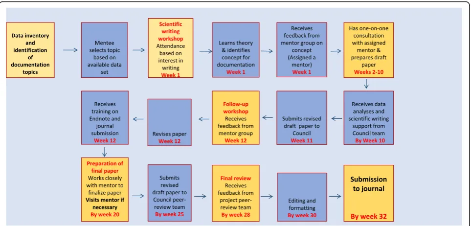 Fig. 1 Process of capacity-building and mentorship for documentation and publication of evidence-based papers