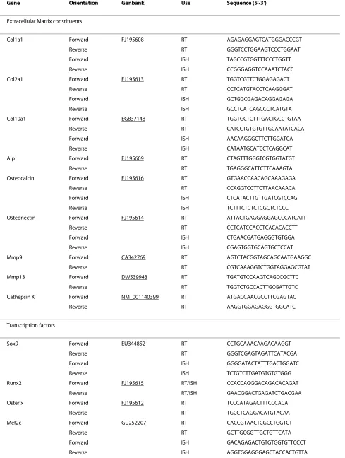 Table 1: Primers used for cloning, sequencing, transcriptional analysis and probe synthesis