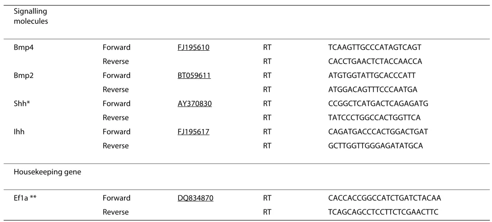 Table 1: Primers used for cloning, sequencing, transcriptional analysis and probe synthesis (Continued)