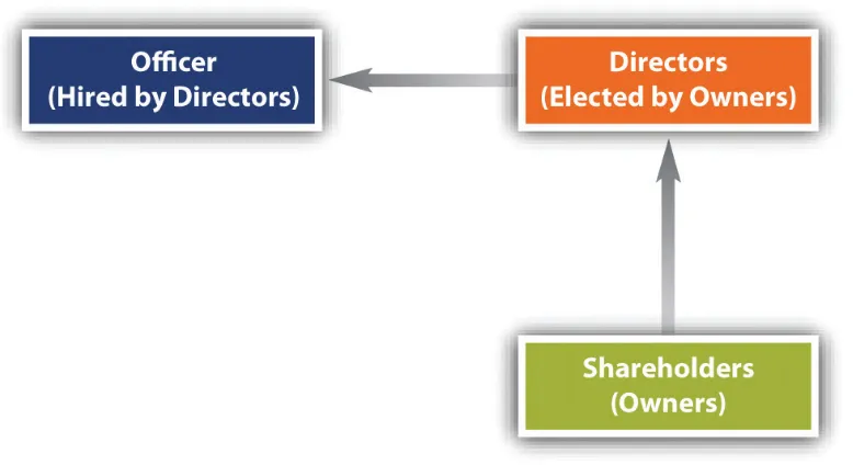 Figure 2.1 Corporate Legal Structure 