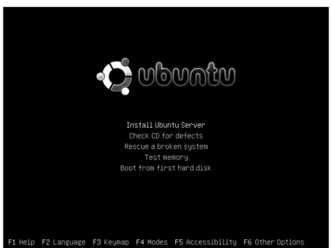 Figure 1-1. In many situations, you just have to press the Enter key to start the installation.