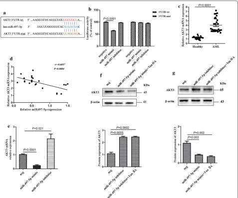 Fig. 3 miR‑497‑5p directly targets the 3′UTR of AKT3. a The public miRNA databases, miRDB was scanned to predict targets of miR‑497‑5p in human