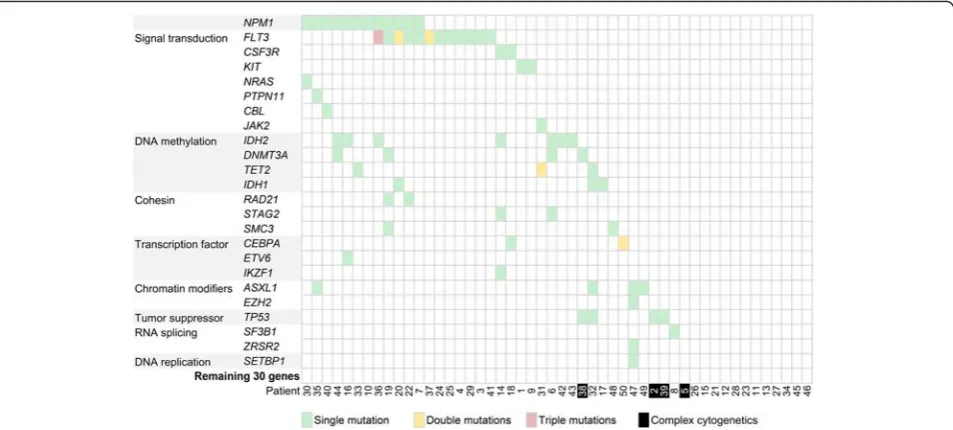 Fig. 4 Mutation status matrix across 50 patient samples and 54 genes. Patients (initial samples only, if applicable) and genes are arranged incolumns and rows, respectively