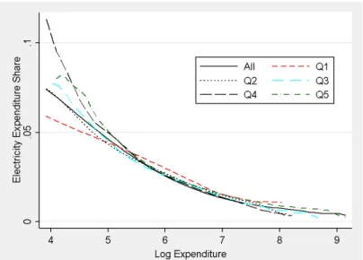Figure 1: Engel Curve for Electricity