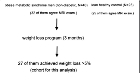 Figure 1 Study enrollment and protocol. MRI: magneticresonance imaging.