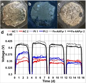 Figure 3. (a) Biofilm growth on the cathode with AC (i), Pt (ii) and Fe-AAPyr (iii). (b) Voltage trends over a 16-day experiment