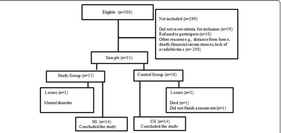 Fig. 1 Sample flowchart. Study Group (SG); Control Group (CG)