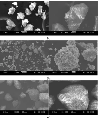 Fig. 2. SEM micrographs at 300X and 1000X magnifications respectively of a) CeO2 b) ZnO c) CeO2/ZnO nanoparticles